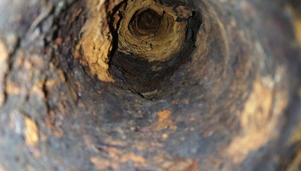 7 Ways To Prevent A Sewer Backup Bright Side Plumbing