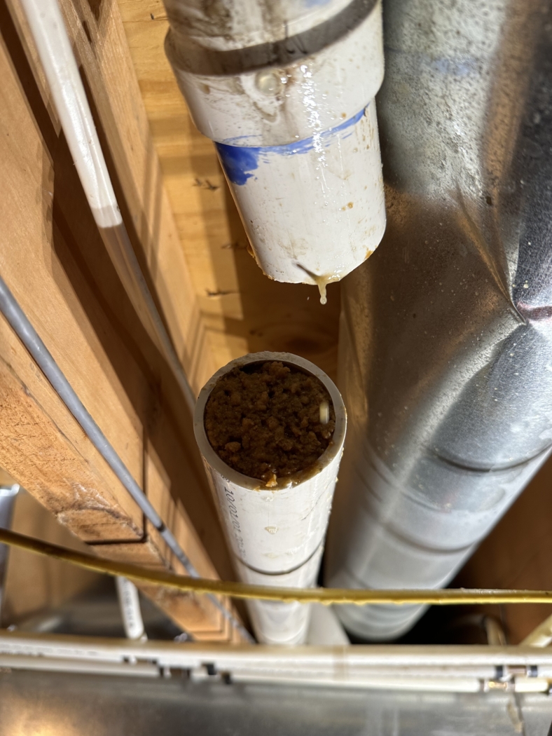 Kitchen drain pipe completely packed with hardened grease buildup removed by Bright Side Plumbing